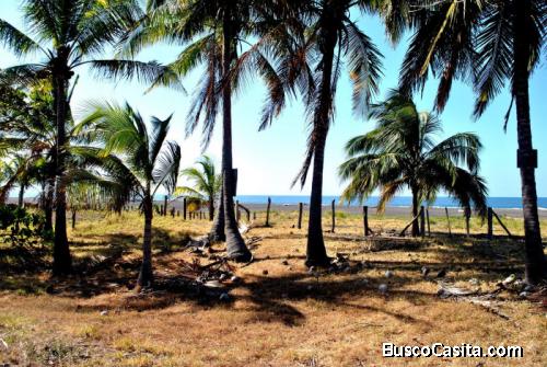 Se Vende Terreno Frente Al Mar Playa Bajamar Puntarenas; Idi: 89375