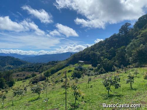 Finca en el Guarco de Cartago