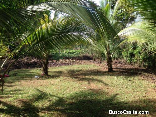 Lote para construir