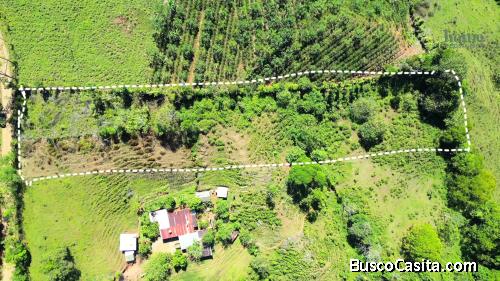 BEAUTIFUL LOT FOR SALE IN THE HEART OF SAN IGNACIO (74,055SQFT)