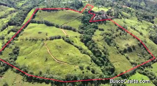 AWESOME LAND FOR SALE IN THE HEART OF SAN IGNACIO, WITH VIEWS AND CREEK (12,5 HECTARES)