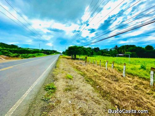 Lote en  Venta 
