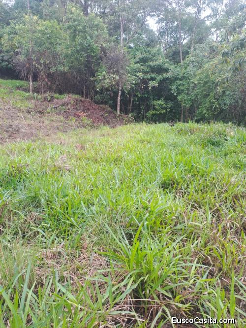 DE OPORTUNIDAD BELLA FINCA EN CINCHONA, ALAJUELA. 