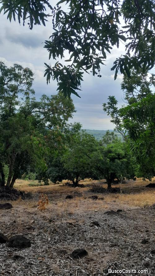 ESPECTACULAR FINCA EN SAN MATEO DE ALAJUELA. 