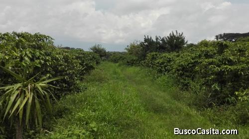 SE VENDE Lote (134001004) en Heredia.