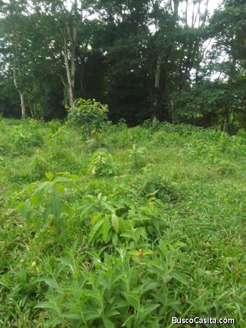 SE VENDE BELLA FINCA EN LA VIRGEN DE SARAPIQUÍ. 
