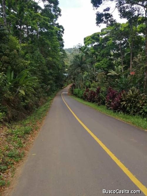 BELLO LOTE EN SAN ISIDRO DE PEÑAS BLANCAS. 