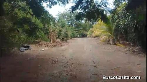 SE VENDE PRECIOSA FINCA EN SAN MATEO DE ALAJUELA. 