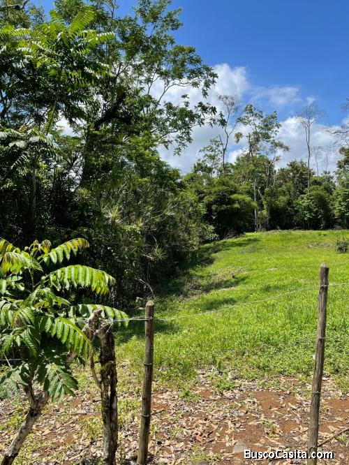 Terreno apto para quinta o lugar de descanso turistico