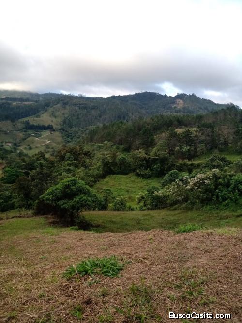 BELLÍSIMA PROPIEDAD EN EL GUARCO DE CARTAGO. 