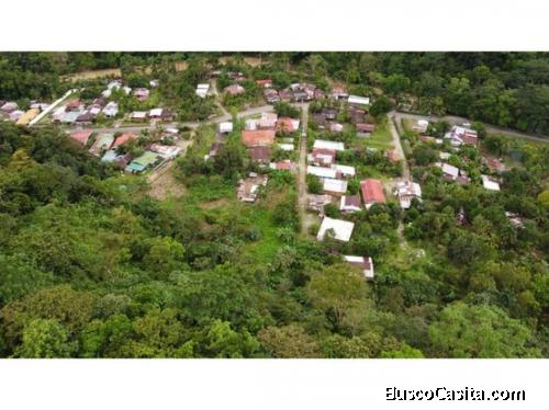 VENTA DE FINCA USO DE SUELO AGRÍCOLA, PUNTARENAS, CORREDORES