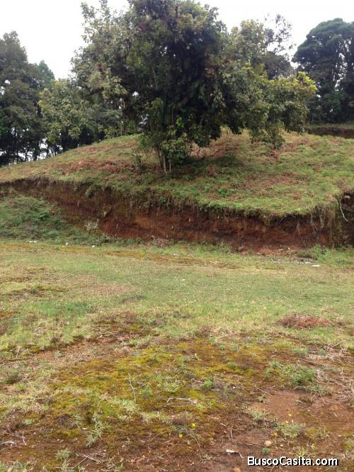 SE VENDE ESPECTACULAR FINCA EN DESAMPARADOS. 