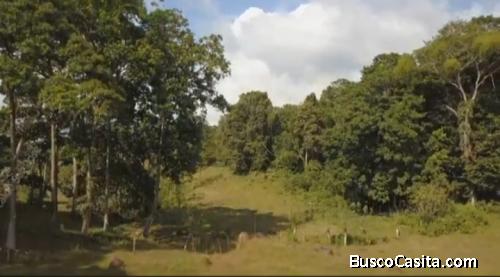 SE VENDE PRECIOSA FINCA EN SARAPIQUÍ. 