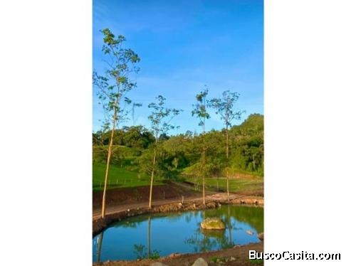 VENTA DE FINCA GANADERA, CARTAGO, TURRIALBA, TRES EQUIS
