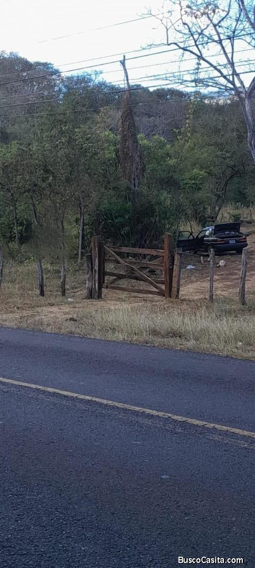 SE VENDE BELLA FINCA EN SANTA CRUZ. 