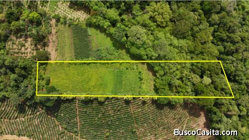 BEAUTIFUL LAND FOR SALE IN SANTA ELENA DEL GENERAL – 1 HECTARE WITH STREAM