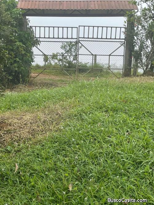 TERRENO CON CASA. ACOSTA SABANILLAS. SAN JOSE 