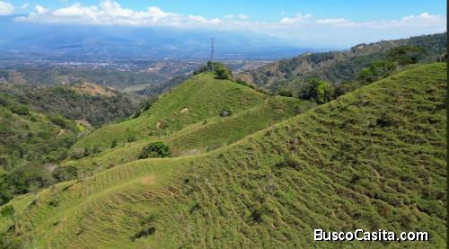 Beautiful Land for sale in the heart of Guaria, with views and creek (7 hectares  17 acres)