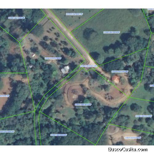 VENTA DE LOTE, ALAJUELA, OROTINA, OROTINA