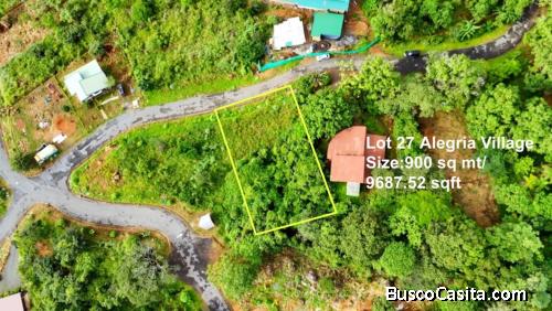BEAUTIFUL LOT FOR SALE IN THE HEART OF ALEGRIA VILLAGE (9687 SQFT)