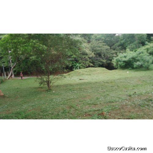 VENTA DE LOTE, ALAJUELA, OROTINA, COYOLAR 