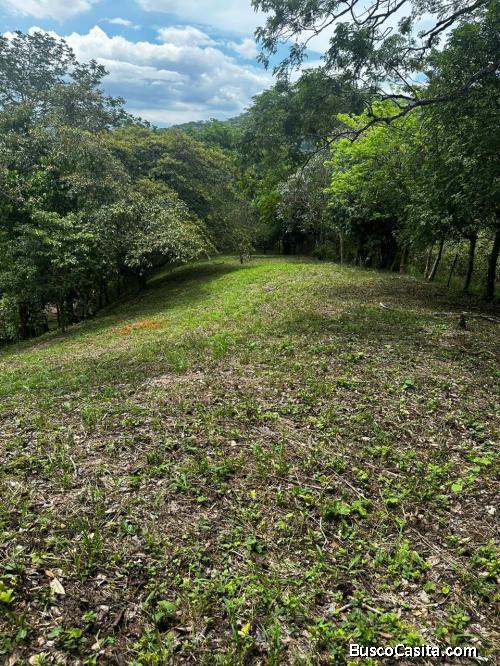SE VENDE BELLA PROPIEDAD EN PIEDRAS NEGRAS, MORA, SAN JOSÉ. 