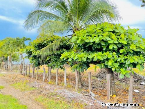 Lot for sale: Playa Grande
