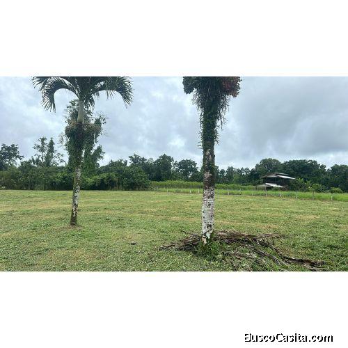 VENTA DE LOTE RESIDENCIAL Y AGRICOLA, LIMON, POCOCI, GUAPILES