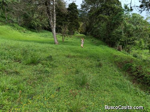 Venta de lote 14,000 m2 ,precio negociable se reecibe propiedad .