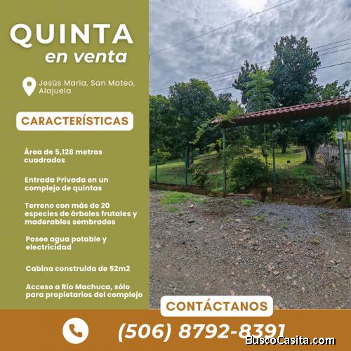 Hermosa Quinta a la Venta