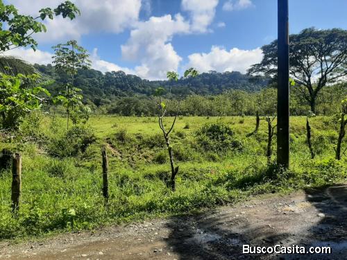SE VENDE ESPECTACULAR FINCA EN QUEPOS, PUNTARENAS. 