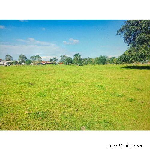 VENTA DE LOTE, ALAJUELA, SAN CARLOS, FLORENCIA, MUELLE 