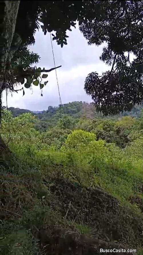 PARA INVERSIONISTAS, BELLA FINCA EN QUEPOS, C. R. 
