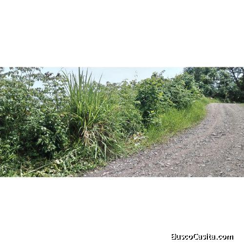 VENTA DE FINCA CAFETALERA, SAN JOSE, ASERRI, LA LEGUA 