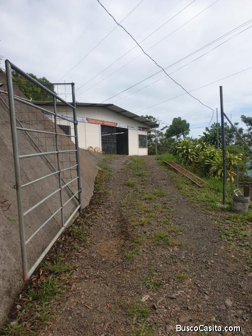 BELLA PROPIEDAD CON LOCAL COMERCIAL EN TABARCIA. 