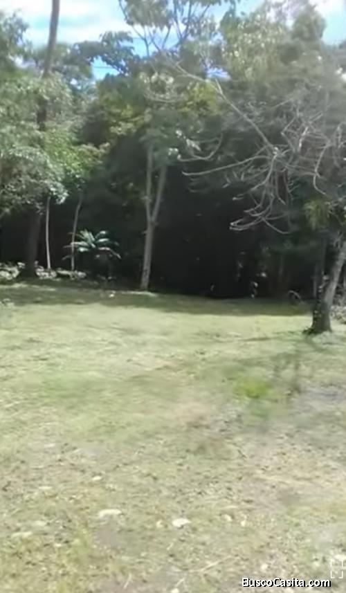 SE VENDEN 3 BELLÍSIMAS PROPIEDADES EN GUÁPILES. 