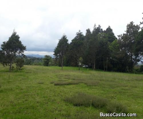 En venta terreno residencial en Platanares de Moravia