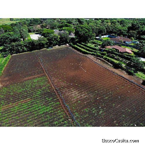 VENTA DE LOTE, ALAJUELA, SAN RAFAEL, CALLE LA CAÑADA 
