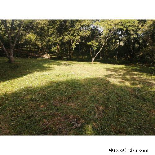VENTA DE LOTE, USO MIXTO, ALAJUELA, OROTINA, LA CEIBA  