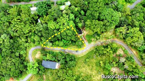 BEAUTIFUL LOT #37 FOR SALE IN THE HEART OF ALEGRÍA VILLAGE – SAN MATEO | 1,118 M² 