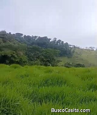 DE OPORTUNIDAD ÚTIL FINCA EN SAN RAMÓN, ALAJUELA. 