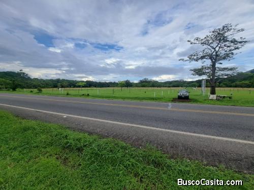 SE VENDEN BELLÍSIMAS QUINTAS EN SANTA CRUZ, GUANACASTE. 