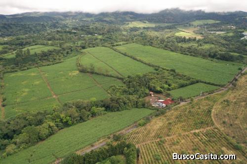 Finca Agricola (aprovechable para varios usos) 60ha