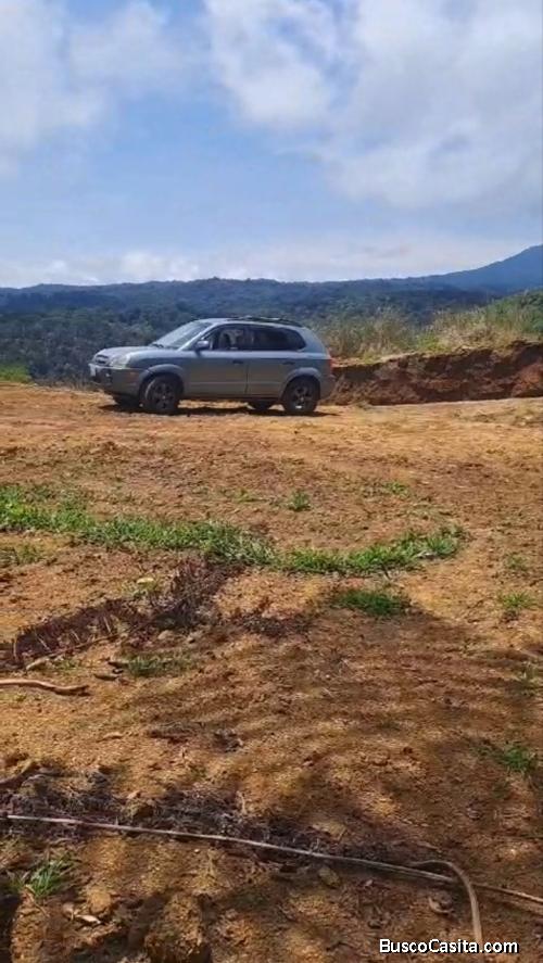 SE VENDE BELLA Y ÚTIL FINCA EN CINCHONA, ALAJUELA. 