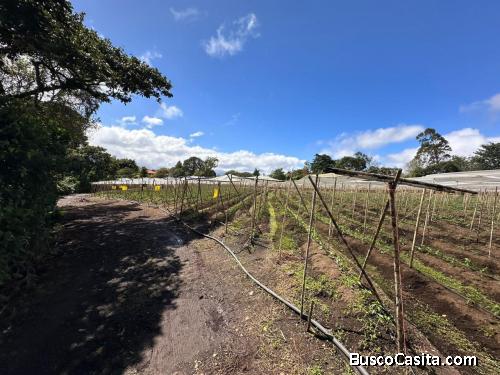 Terreno en San Isidro de Heredia, cerca ruta 32 18,406 mtrs2