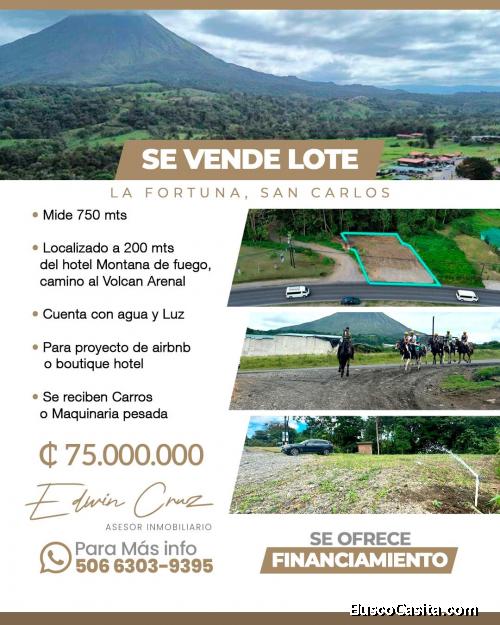 SE VENDE BELLA PROPIEDAD EN FORTUNA. 