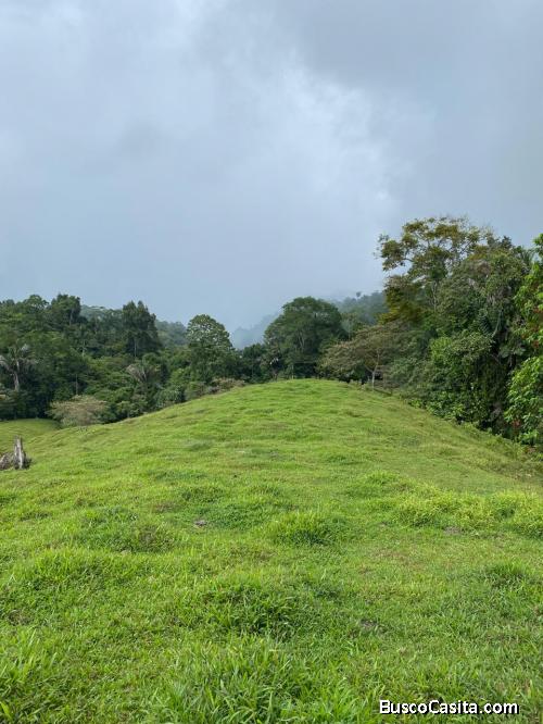 SE VENDE BELLA Y GRANDE FINCA EN SIQUIRRES, LIMÓN. 