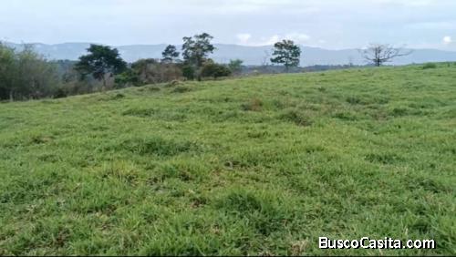 SE VENDE ESPECTACULAR FINCA EN PITTIER, COTO BRUS. 