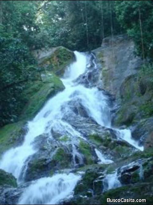 BELLÍSIMA Y ESPECTACULAR FINCA EN GOLFITO. 
