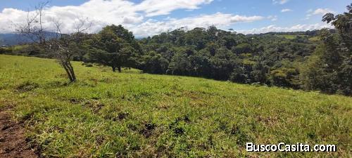 SE VENDE FINCA EN SANTA ELENA DE PITTIER, COTO BRUS. 